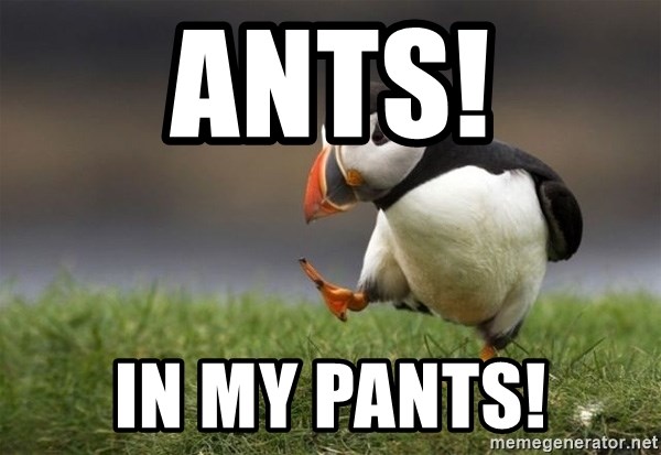 ants-in-my-pants.jpg