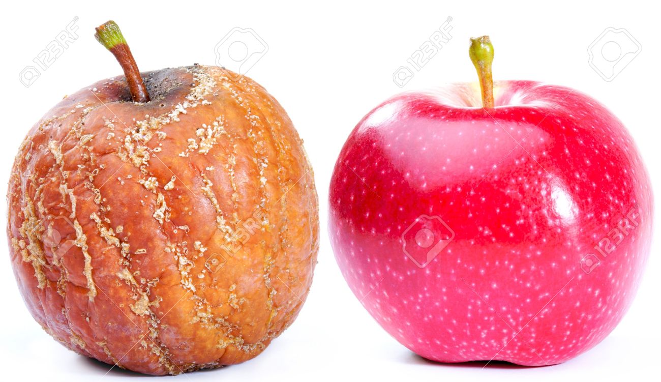 10670948-fresh-red-apple-and-rotten-apple-isolated-on-white-background.jpg