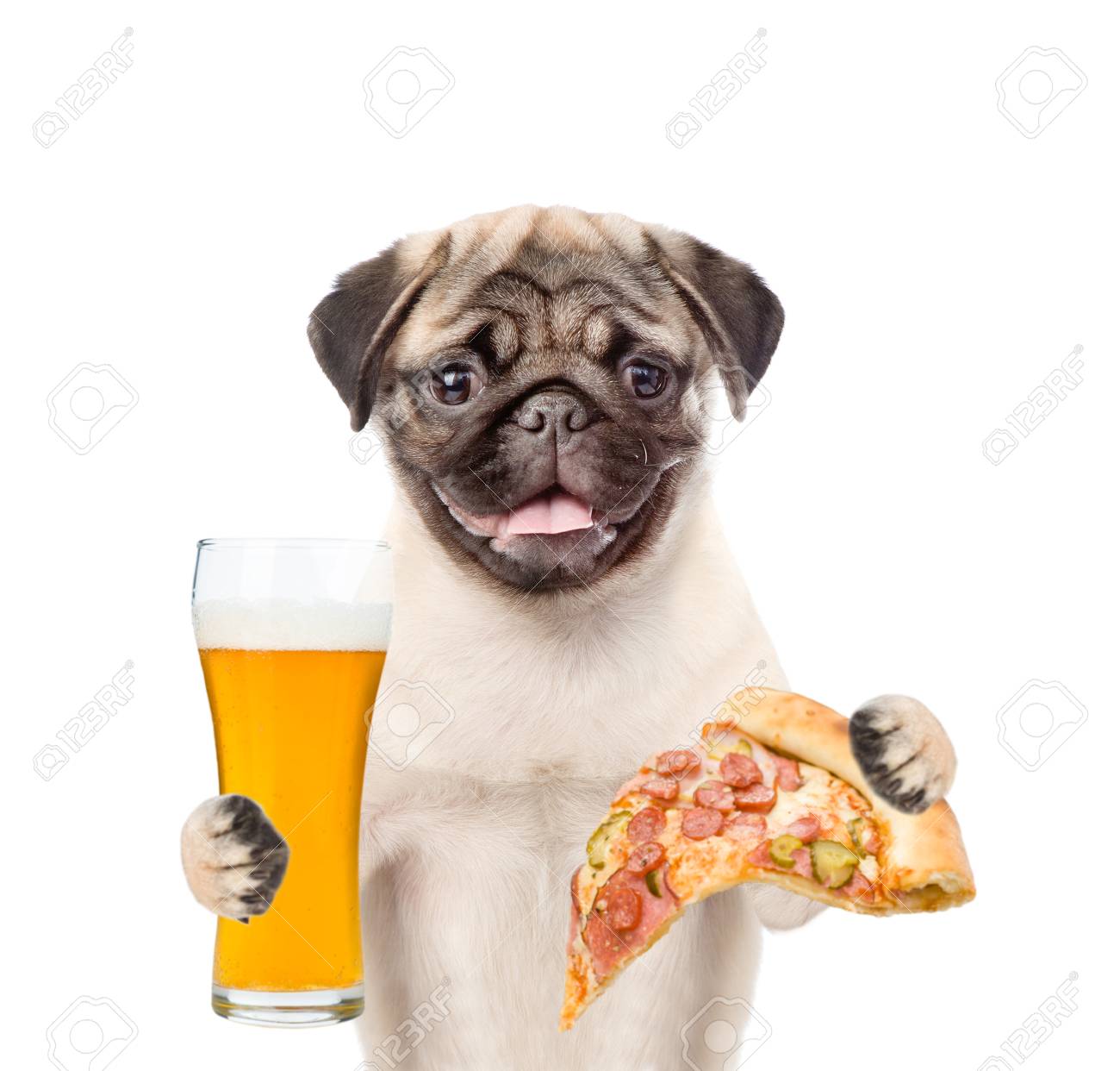 79308217-dog-holding-pizza-and-a-glass-of-beer-isolated-on-white-background-.jpg