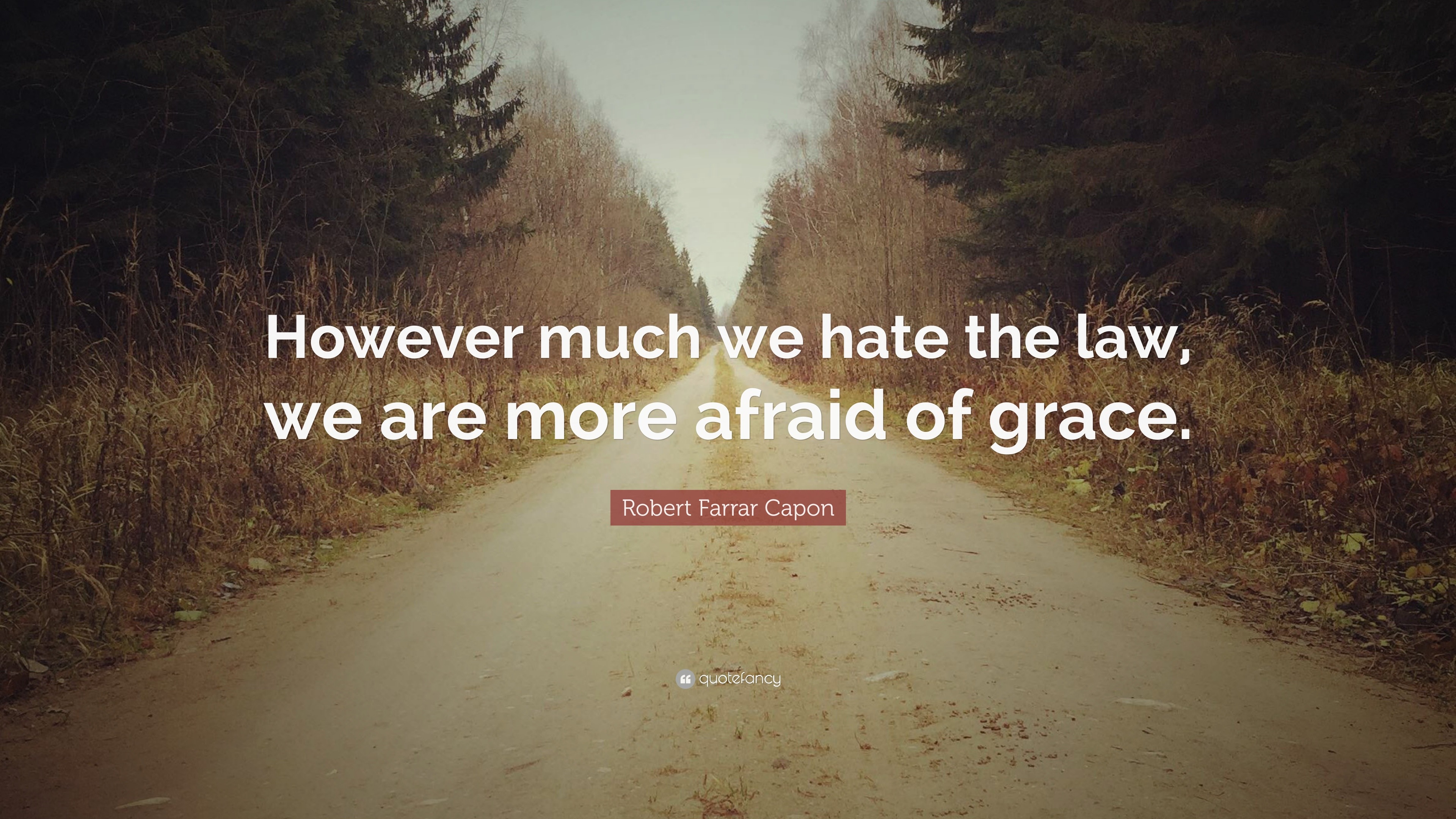 870013-Robert-Farrar-Capon-Quote-However-much-we-hate-the-law-we-are-more.jpg