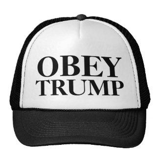 obey_trump_hat-r3976971308b34deaab109eadd17ff72e_v9wfy_8byvr_325.jpg