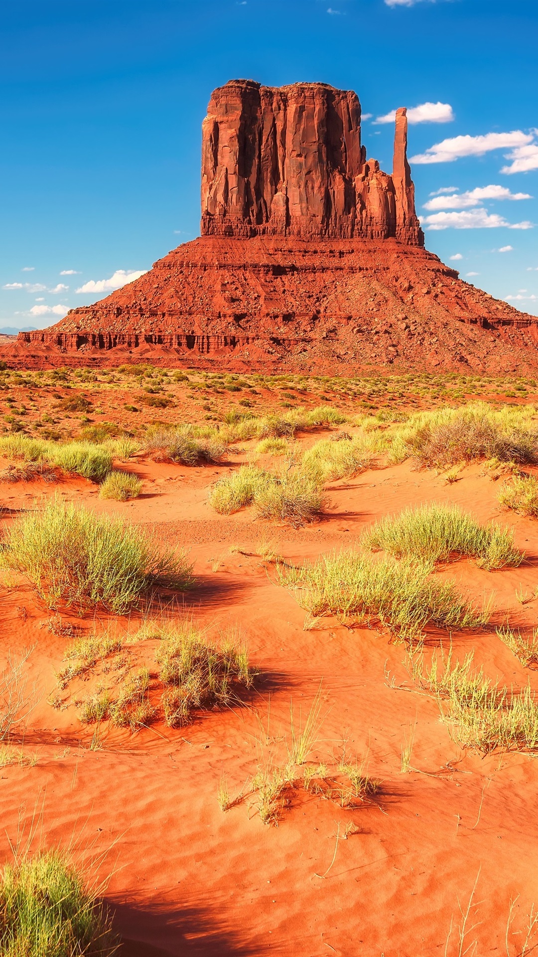 Desert-rocks-mountains-grass-USA-Arizona_iphone_1080x1920.jpg