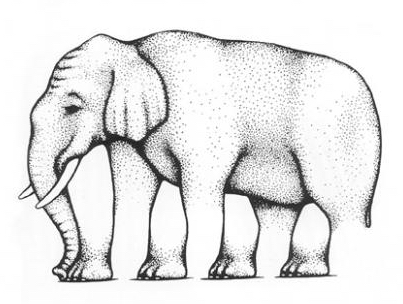 elephant_illusions.jpg