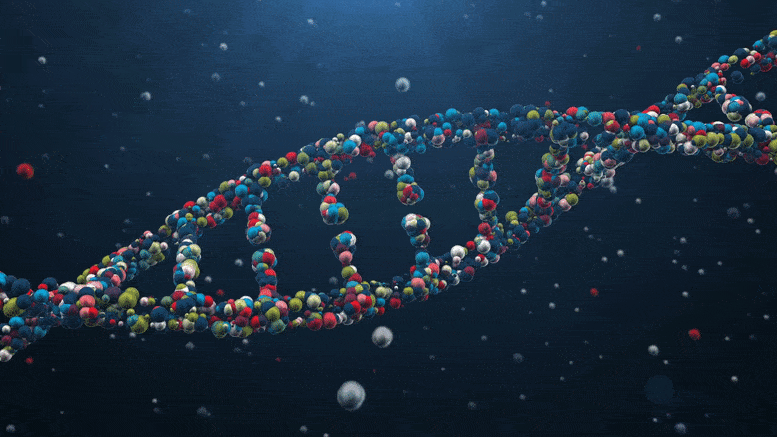 DNA-Animation.gif