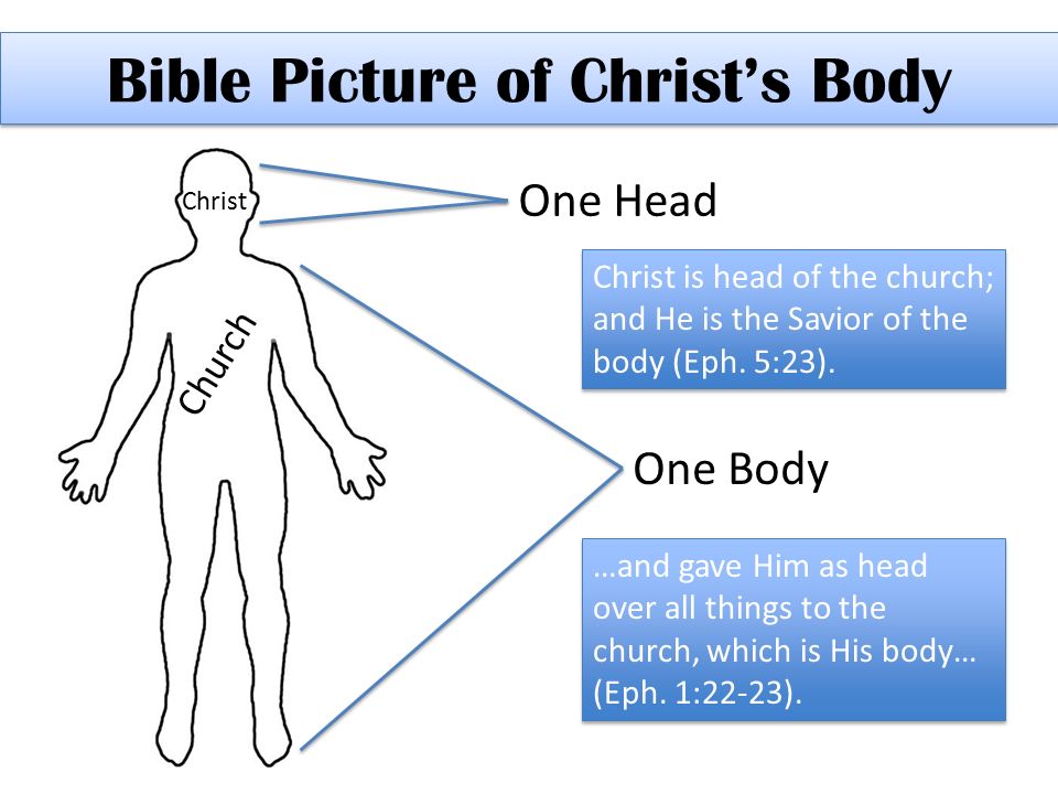 Bible+Picture+of+Christ%E2%80%99s+Body.jpg