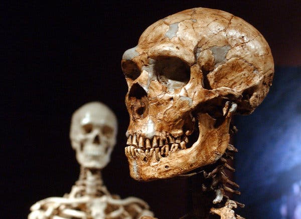10ANCIENT-HUMANS-neanderthal2-articleLarge.jpg