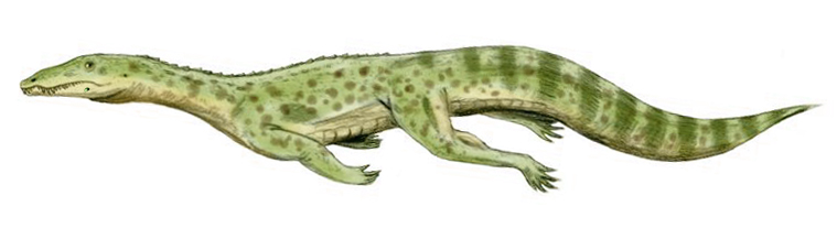 Qianosuchus_BW.jpg