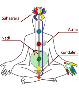 DiagrammaChakraKundalini.jpg