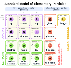 300px-Standard_Model_of_Elementary_Particles.svg.png