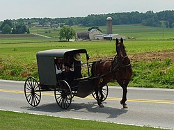 250px-Lancaster_County_Amish_03.jpg