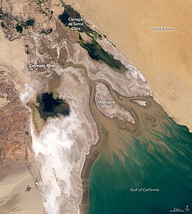 280px-Coloradoriverdelta_oli_APR2020.jpg