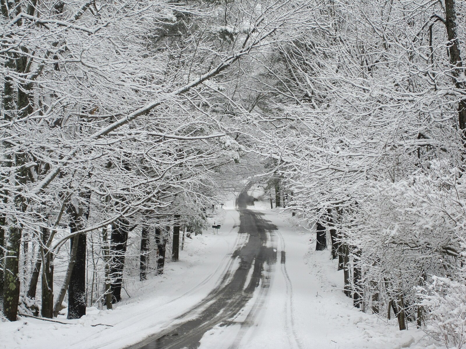 1600px-Winter_in_Fitzwilliam%2C_New_Hampshire.JPG