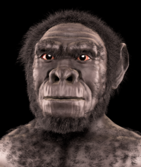 200px-Homo_habilis_-_forensic_facial_reconstruction.png