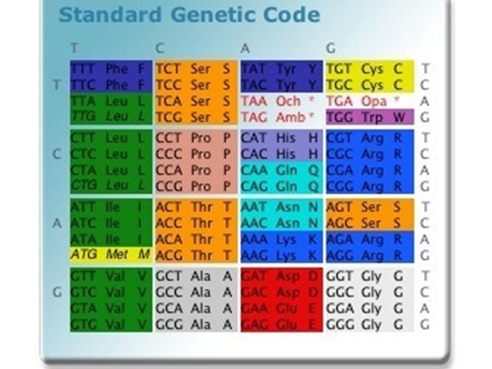 genetic_code.jpg