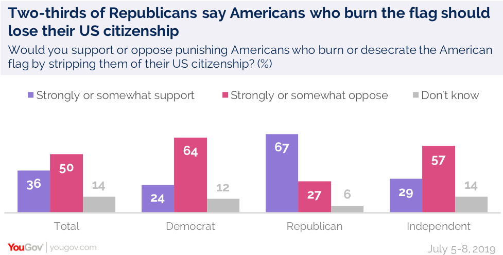 FlagBurningYouGov.png