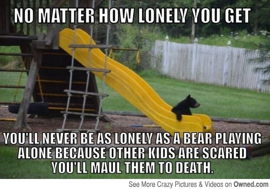 No-Matter-How-Lonely-You-Get-Funny-Polar-Bear-Meme.jpg