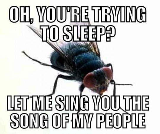 Let-Me-Sing-You-The-Song-Of-People-Funny-Fly-Meme.jpg