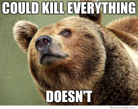 Could-Kill-Everything-Doesnt-Funny-Bear-Meme-Picture.jpg