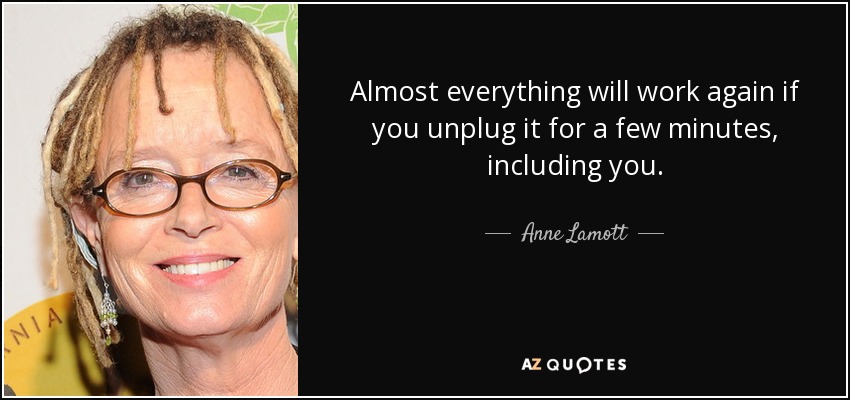 quote-almost-everything-will-work-again-if-you-unplug-it-for-a-few-minutes-including-you-anne-lamott-94-53-18.jpg