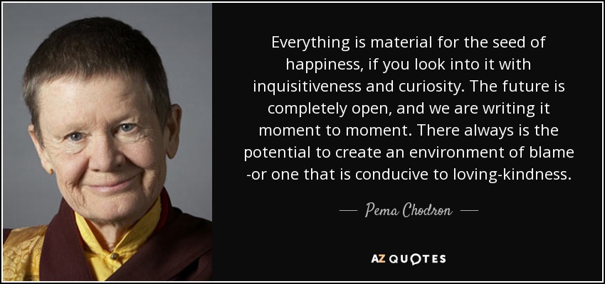 quote-everything-is-material-for-the-seed-of-happiness-if-you-look-into-it-with-inquisitiveness-pema-chodron-66-7-0774.jpg