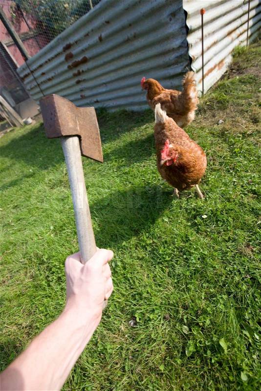 1019455-a-man-holding-an-ax-infront-of-chickens.jpg