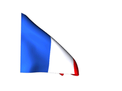 France_240-animated-flag-gifs.gif