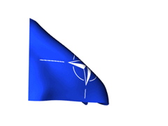 NATO_240-animated-flag-gifs.gif