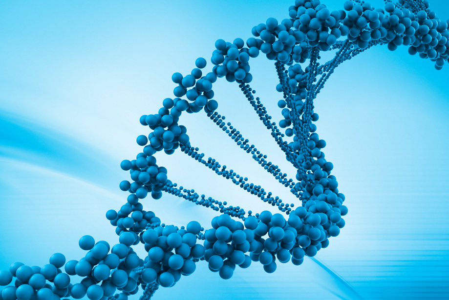 2013-11-Header-DNA-Regulation-Transcription.png