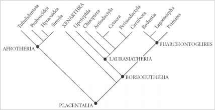 1303_1832_714-marsupials-southern-continents.jpg