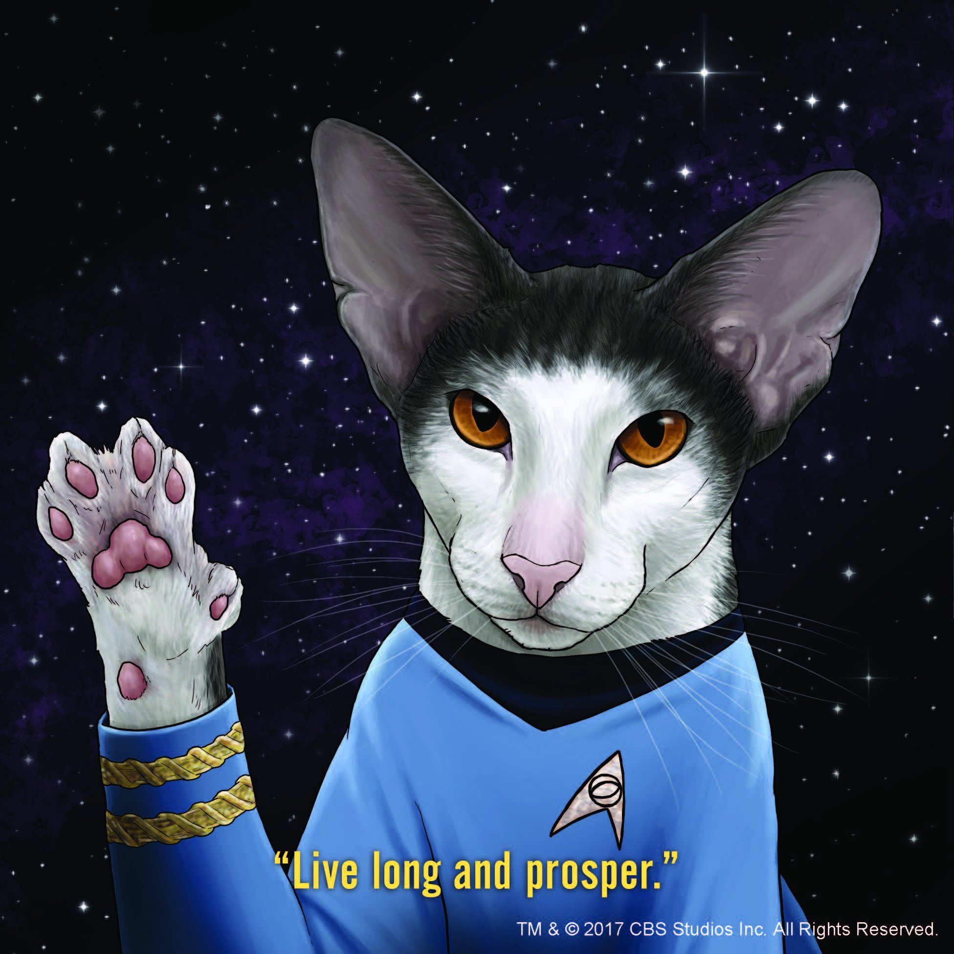 Star-Trek-Cats-3.jpg