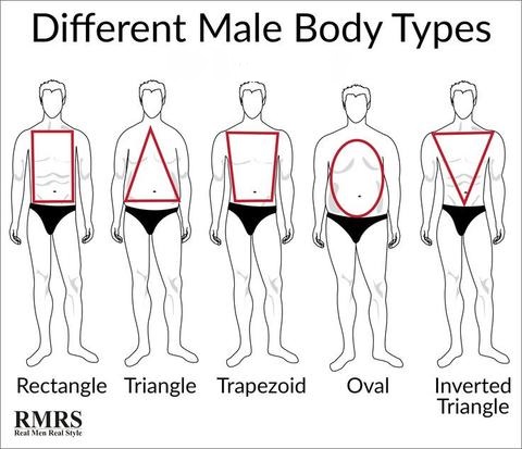 The-different-types-of-body-shapes.jpg
