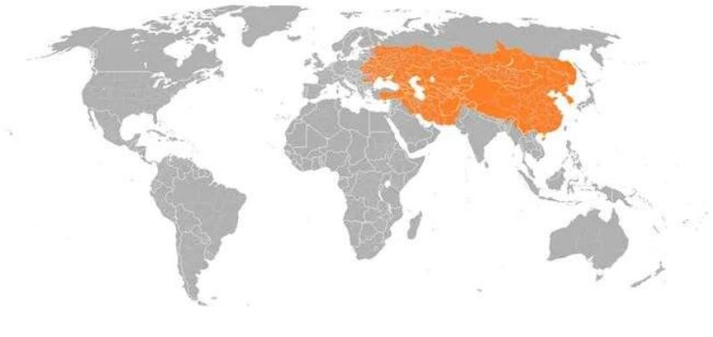 orange-roughly-the-reach-of-the-mongolian-empire-in-1279-photo-u1-68133.jpg
