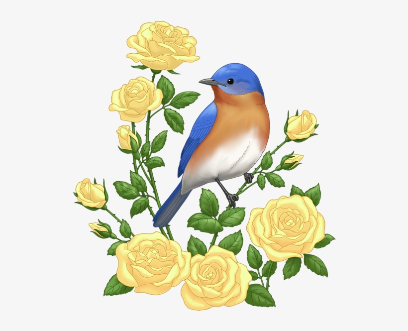 955-9559071_bleed-area-may-not-be-visible-blue-bird.png